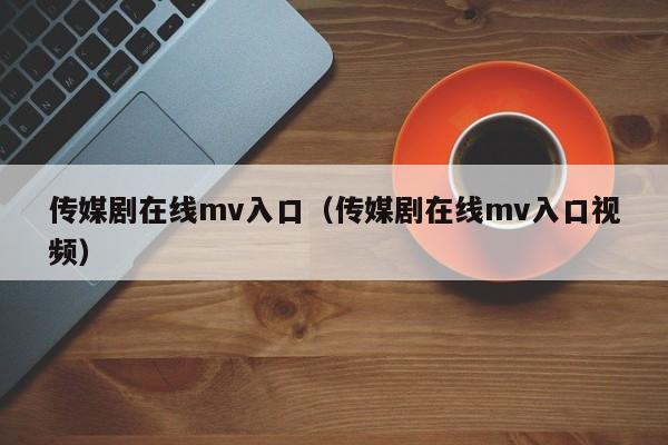 传媒剧在线mv入口(传媒剧在线mv入口视频)